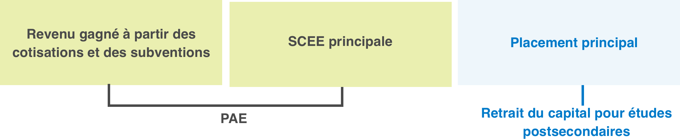 RESP Total Account Value